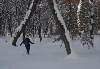 Комплекс дьявола