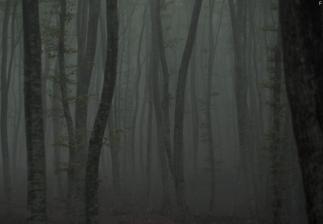 Убежище 2: ледяная тропа