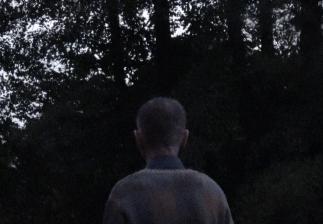 Незнакомец в лесу