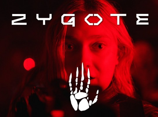  Zygote   